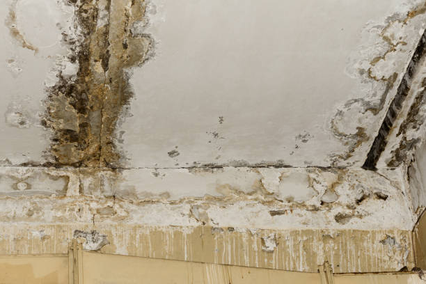 Trusted Elkridge, MD Water damage restoration Experts